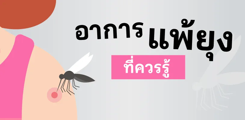 ยุงกัดเป็นผื่นแดง เกิดจากอะไร 03 Article